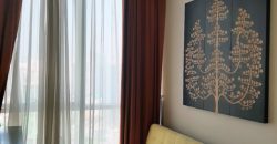 The PEAK Apartment